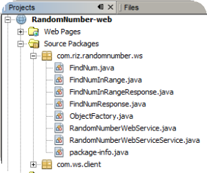 NetBeans source package view